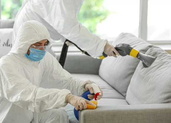 Couch Cleaning for Commercial Spaces