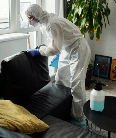 Same Day Couch Cleaning Frankston